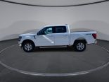 New 2024 Ford F-150 XLT 4x4 SuperCrew 5.5' Box