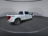 New 2024 Ford F-150 XLT 4x4 SuperCrew 6.5' Box