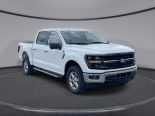 New 2024 Ford F-150 XLT 4x4 SuperCrew 5.5' Box