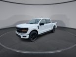 New 2024 Ford F-150 XLT 4x4 SuperCrew 5.5' Box