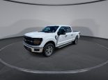 New 2024 Ford F-150 XLT 4x4 SuperCrew 6.5' Box