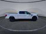 New 2024 Ford F-150 XLT 4x4 SuperCrew 6.5' Box