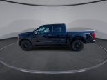 New 2024 Ford F-150 XLT 4x4 SuperCrew 5.5' Box