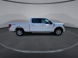 New 2024 Ford F-150 XLT 4x4 SuperCrew 6.5' Box