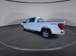 New 2024 Ford F-150 XLT 4x4 SuperCrew 6.5' Box