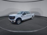 New 2024 Ford F-150 XLT 4x4 SuperCrew 6.5' Box