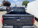 New 2024 Ford F-150 XLT 4x4 SuperCrew 5.5' Box