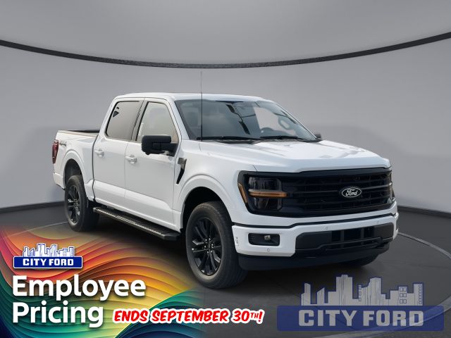 2024 Ford F-150 XLT 4x4 SuperCrew  | TWIN MOON ROOF | 303A | BLUECRUISE