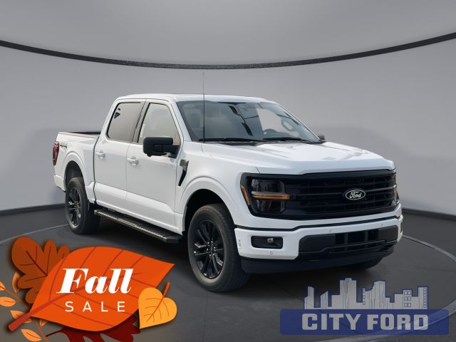 2024 Ford F-150 XLT 4x4 SuperCrew  | TWIN MOON ROOF | 303A | BLUECRUISE