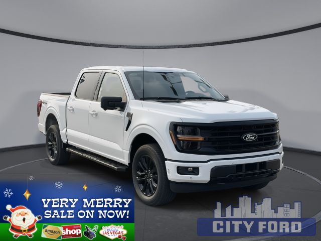 2024 Ford F-150 XLT 4x4 SuperCrew  | TWIN MOON ROOF | 303A | BLUECRUISE