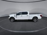 New 2024 Ford F-150 XLT 4x4 SuperCrew 6.5' Box