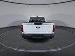 New 2024 Ford F-150 STX 4x4 SuperCrew 