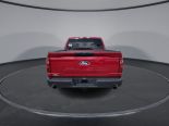 New 2024 Ford F-150 STX 4x4 SuperCrew 5.5' Box