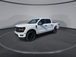 New 2024 Ford F-150 STX 4x4 SuperCrew 