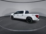 New 2024 Ford F-150 STX 4x4 SuperCrew 