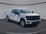 New 2024 Ford F-150 XLT 4x4 SuperCrew