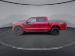 New 2024 Ford F-150 STX 4x4 SuperCrew 5.5' Box