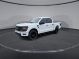 New 2024 Ford F-150 STX 4x4 SuperCrew 5.5' Box