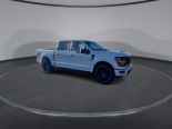 New 2024 Ford F-150 STX 4x4 SuperCrew 5.5' Box