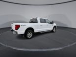 New 2024 Ford F-150 XLT 4x4 SuperCrew 6.5' Box