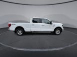 New 2024 Ford F-150 XLT 4x4 SuperCrew 6.5' Box