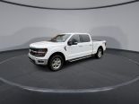 New 2024 Ford F-150 XLT 4x4 SuperCrew 6.5' Box