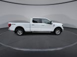 New 2024 Ford F-150 XLT 4x4 SuperCrew 6.5' Box