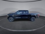 New 2024 Ford F-150 STX 4x4 SuperCrew