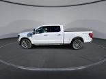 New 2024 Ford F-150 XLT 4x4 SuperCrew 6.5' Box