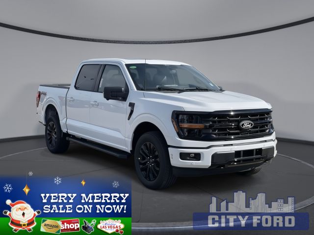 2024 Ford F-150 XLT 4x4 SuperCrew  | BLACK APPEARANCE | BLUECRUISE | FX4