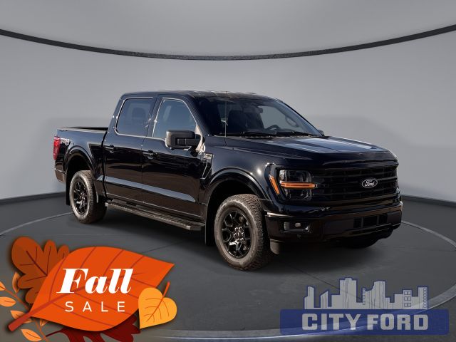 Used 2024 Ford F-150 XLT 4x4 SuperCrew 5.5' Box