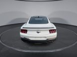 New 2024 Ford Mustang EcoBoost Fastback