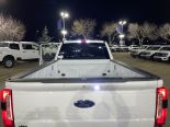 New 2024 Ford Super Duty F-250 SRW XLT 4x4 Crew Cab 8' Box