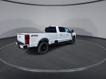 New 2024 Ford Super Duty F-250 SRW XLT 4x4 Crew Cab