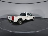 New 2024 Ford Super Duty F-250 SRW XLT 4x4 Crew Cab 