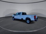 New 2024 Ford Super Duty F-350 SRW XLT 4x4 Crew Cab 8' Box