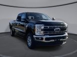 New 2024 Ford Super Duty F-350 SRW XLT 4x4 Crew Cab 8' Box