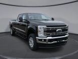 New 2024 Ford Super Duty F-350 SRW XLT 4x4 Crew Cab 8' Box