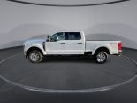 New 2024 Ford Super Duty F-350 SRW XLT 4x4 Crew Cab 6.75' Box