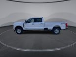 New 2024 Ford Super Duty F-350 SRW XLT 4x4 Crew Cab 8' Box