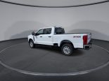 New 2024 Ford Super Duty F-350 SRW XLT 4x4 Crew Cab 6.75' Box