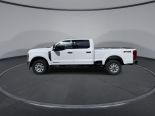 New 2024 Ford Super Duty F-350 SRW XLT 4x4 Crew Cab 6.75' Box