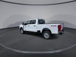 New 2024 Ford Super Duty F-350 SRW XLT 4x4 Crew Cab 6.75' Box