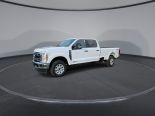 New 2024 Ford Super Duty F-350 SRW XLT 4x4 Crew Cab 8' Box