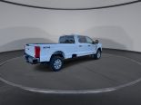 New 2024 Ford Super Duty F-350 SRW XLT 4x4 Crew Cab 8' Box