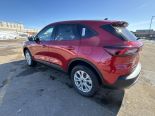 New 2025 Ford Escape Active AWD