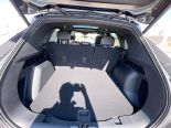 New 2025 Ford Escape ST-Line Select AWD