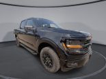 New 2025 Ford F-150 XLT 4x4 SuperCrew 5.5' Box