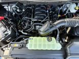 New 2025 Ford F-150 XLT 4x4 SuperCrew 5.5' Box