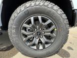 New 2025 Ford F-150 Tremor 4x4 SuperCrew 5.5' Box